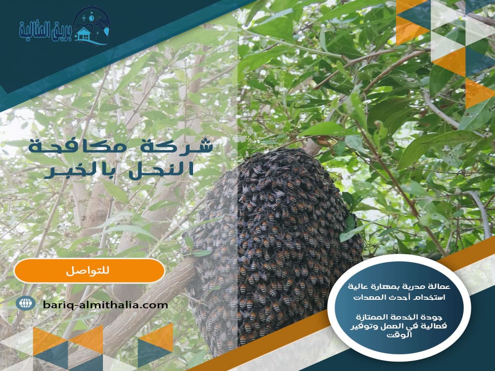 شركة مكافحة النحل بالخبر