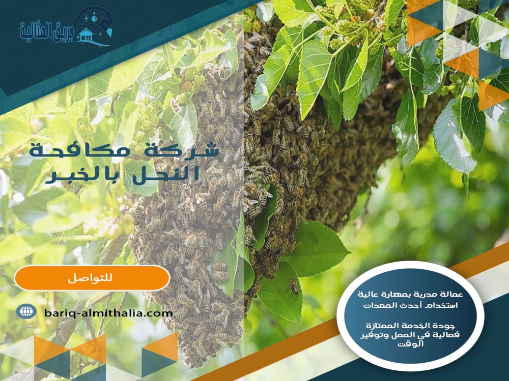 شركة مكافحة النحل بالخبر