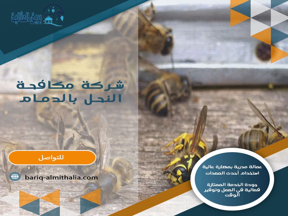 شركة مكافحة النحل بالدمام