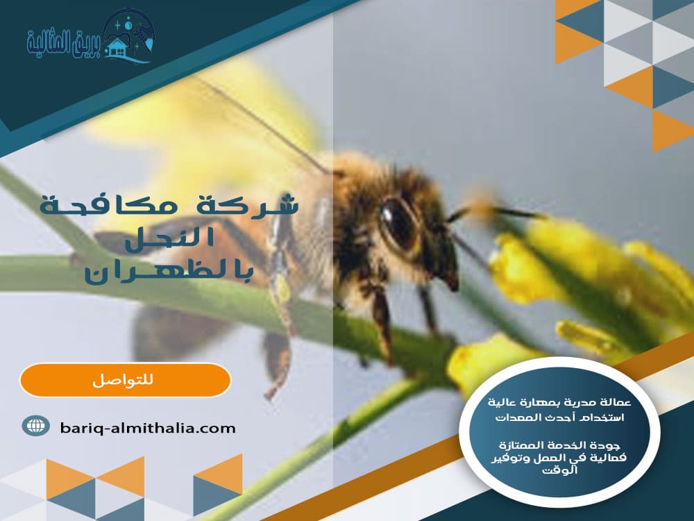 شركة مكافحة النحل بالظهران