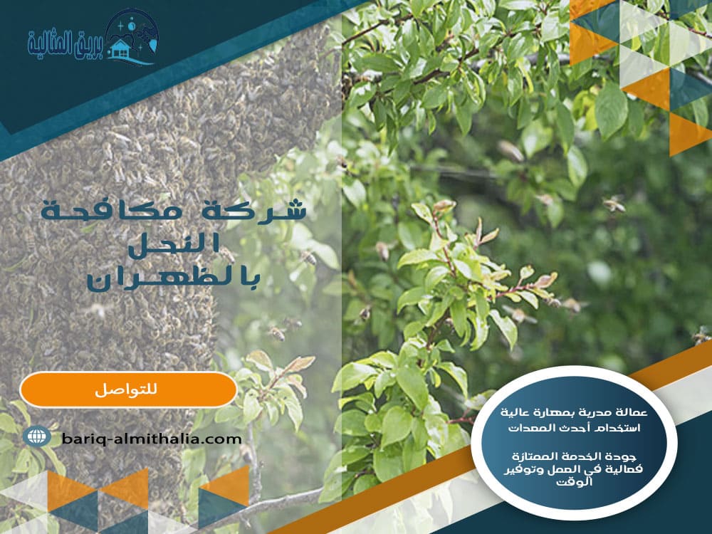 شركة مكافحة النحل بالظهران