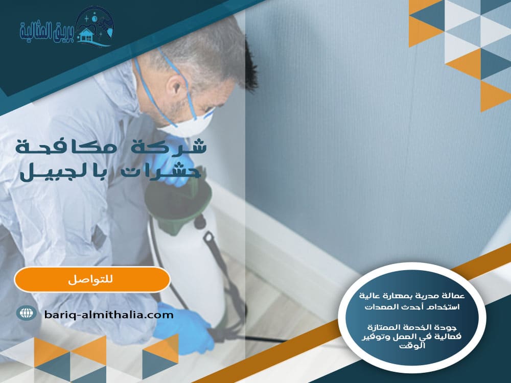 شركة مكافحة حشرات بالجبيل