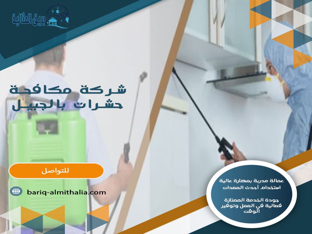 شركة مكافحة حشرات بالجبيل