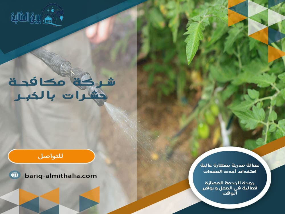 شركة مكافحة حشرات بالخبر