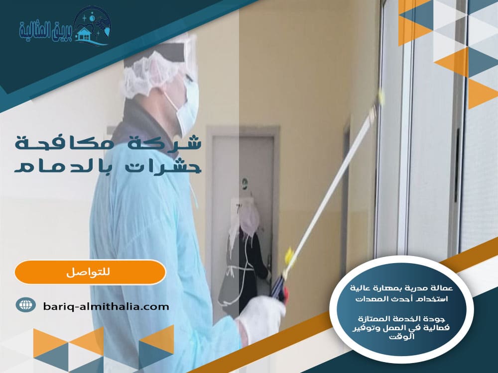 شركة مكافحة حشرات بالدمام