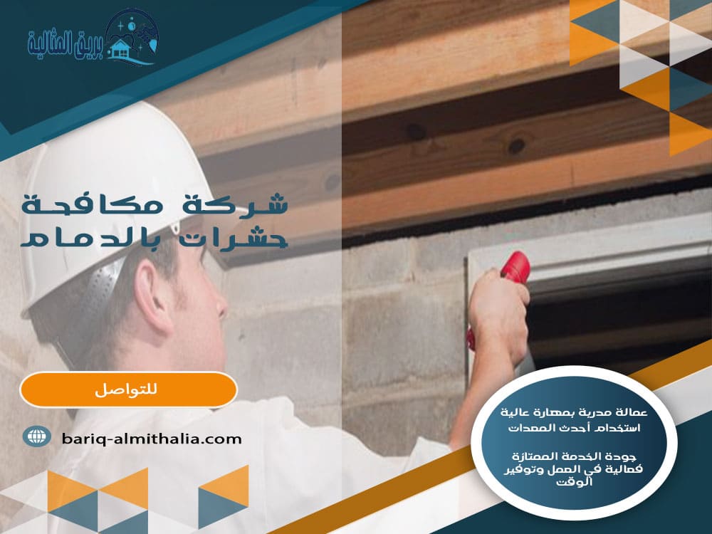 شركة مكافحة حشرات بالدمام