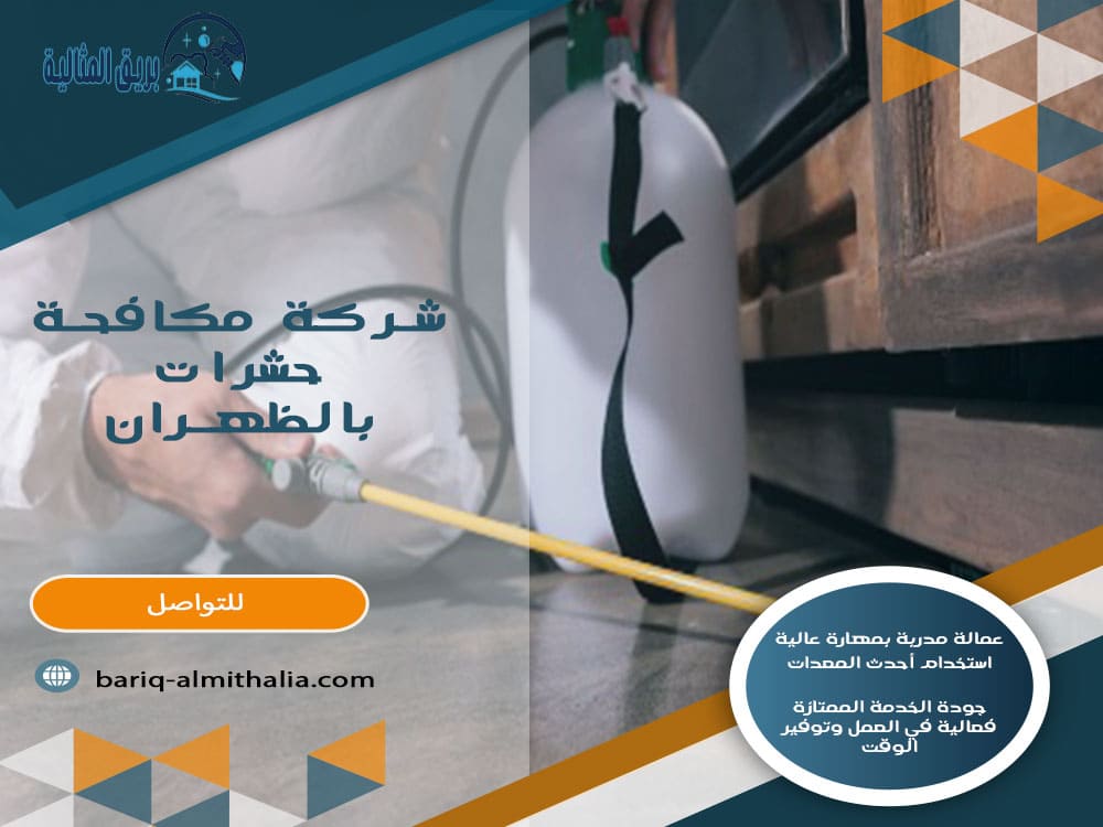 شركة مكافحة حشرات بالظهران