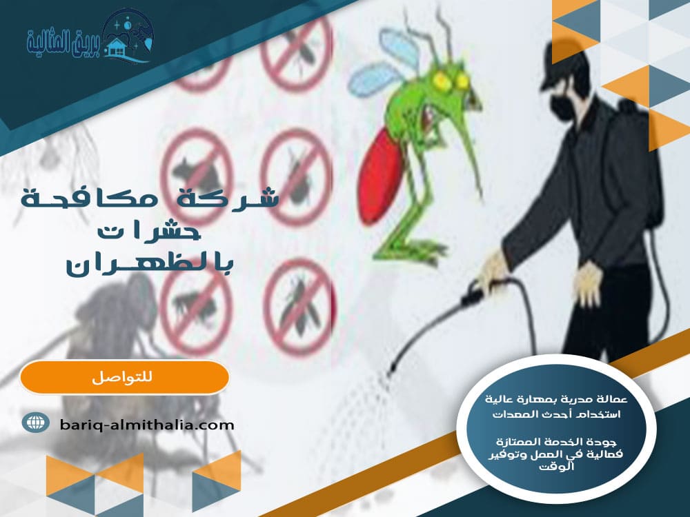 شركة مكافحة حشرات بالظهران