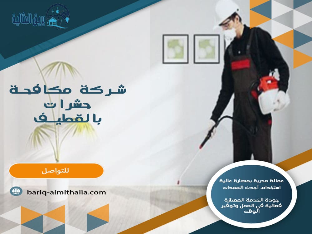 شركة مكافحة حشرات بالقطيف