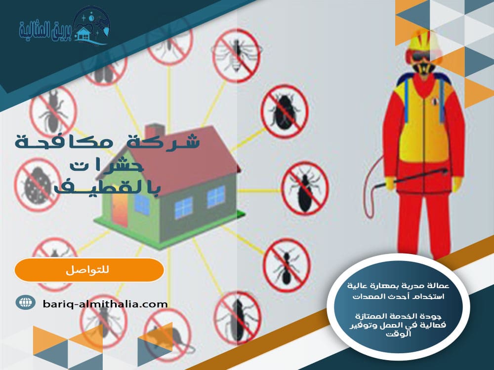 شركة مكافحة حشرات بالقطيف