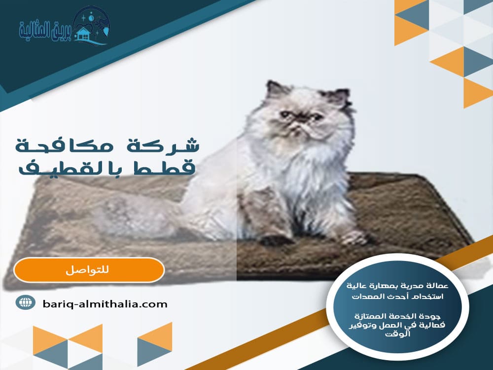 شركة مكافحة قطط بالقطيف